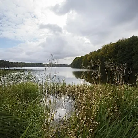 아파트 Haus Am Wolgastsee - 02 *